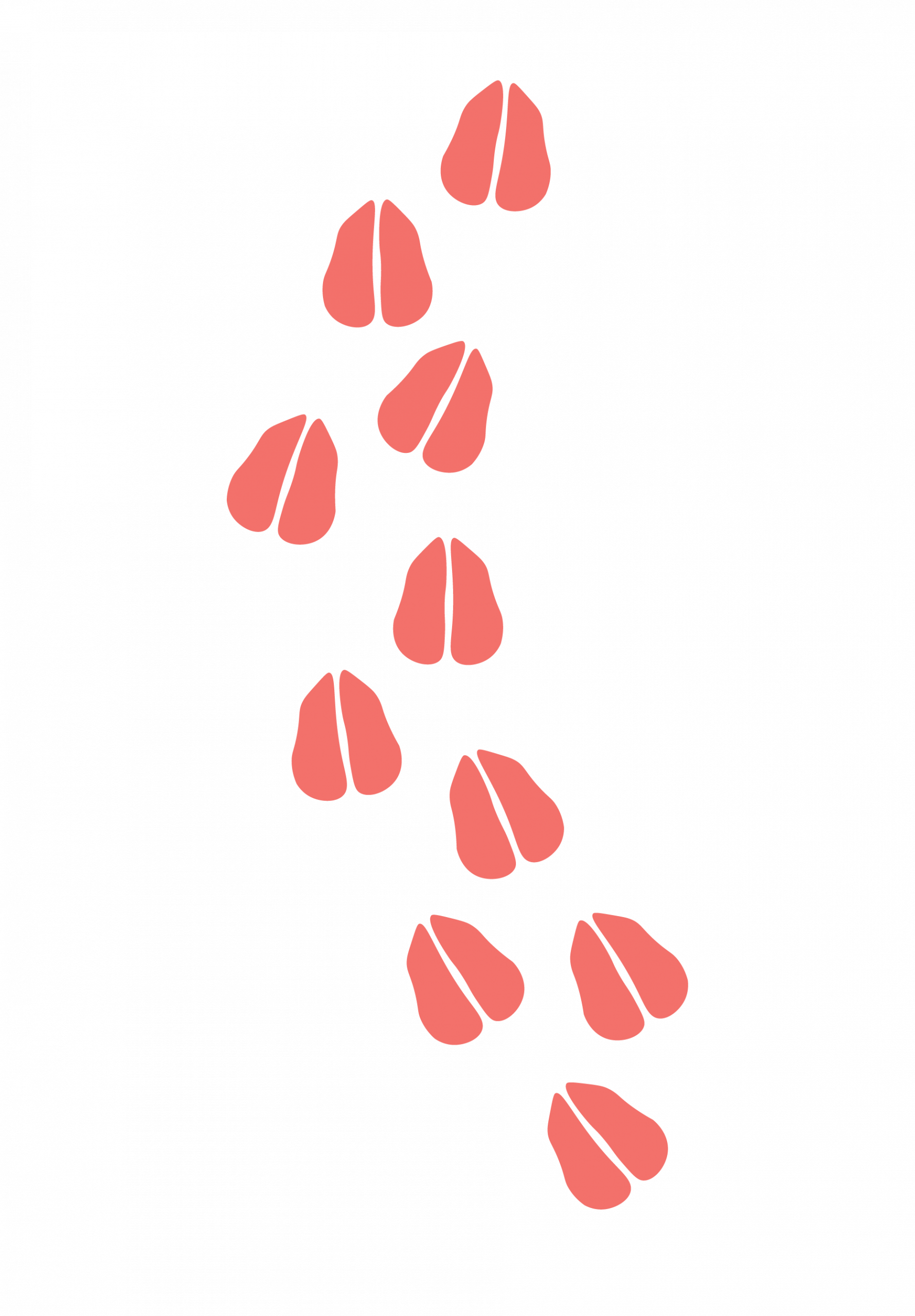Kuhspuren-COWork-Coworking-Space-Muenster-Kuhviertel_coral-rechts