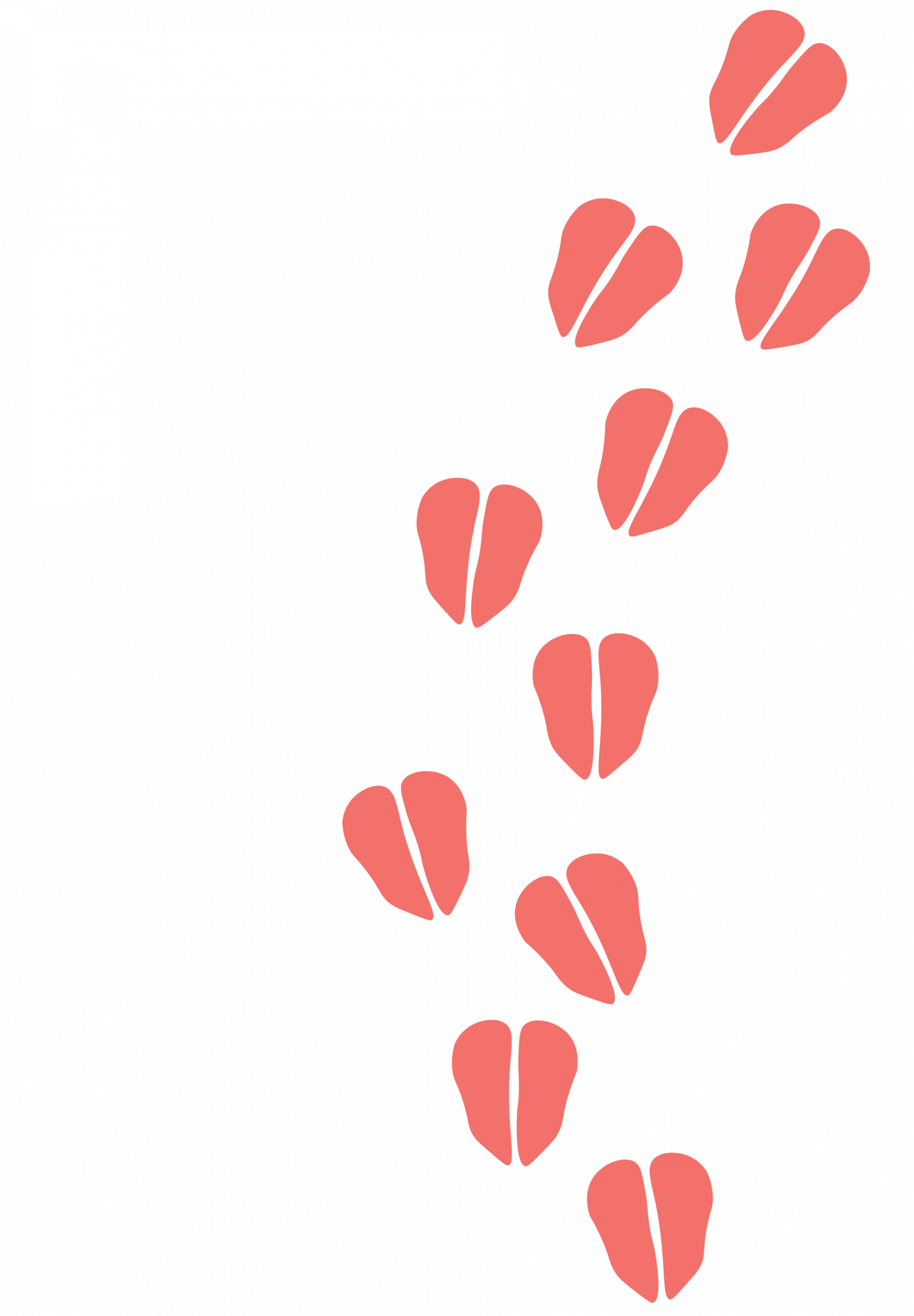 Kuhspuren-COWork-Coworking-Space-Muenster-Kuhviertel_coral-rechts-unten